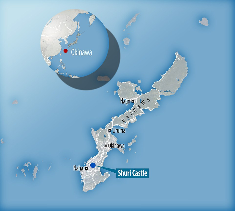 Hai hung canh bien lua thieu rui lau dai co 600 tuoi o Nhat-Hinh-12