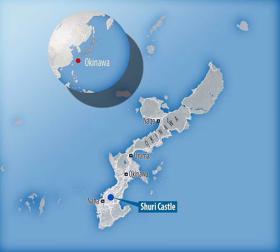 Hai hung canh bien lua thieu rui lau dai co 600 tuoi o Nhat-Hinh-12