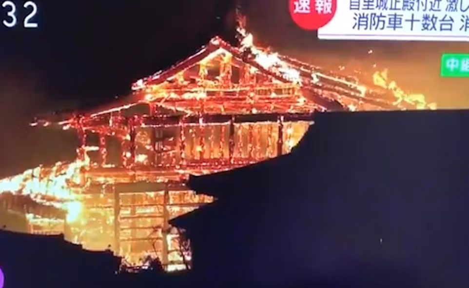 Hai hung canh bien lua thieu rui lau dai co 600 tuoi o Nhat-Hinh-4