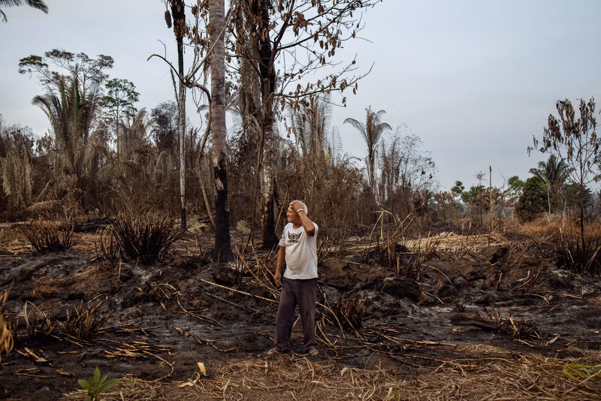Ông Jelson đứng trước cánh đồng sắn đã bị thiêu rụi do đám cháy rừng ở tỉnh Porto Velho.