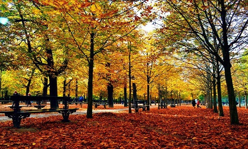 Chỉ chờ đến mùa thu, cả khu vườn ngập tràn những gam màu vàng, đỏ tuyệt đẹp. Bạn sẽ ấn tượng với cây cầu Adolphe hình vòng cung bắc qua thung lũng Petrusse tuyệt đẹp, lang thang trên quảng trường Guillaume II, hay ngồi nhâm nhi ly cà phê, ngắm quang cảnh thành phố