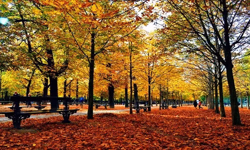 Chỉ chờ đến mùa thu, cả khu vườn ngập tràn những gam màu vàng, đỏ tuyệt đẹp. Bạn sẽ ấn tượng với cây cầu Adolphe hình vòng cung bắc qua thung lũng Petrusse tuyệt đẹp, lang thang trên quảng trường Guillaume II, hay ngồi nhâm nhi ly cà phê, ngắm quang cảnh thành phố