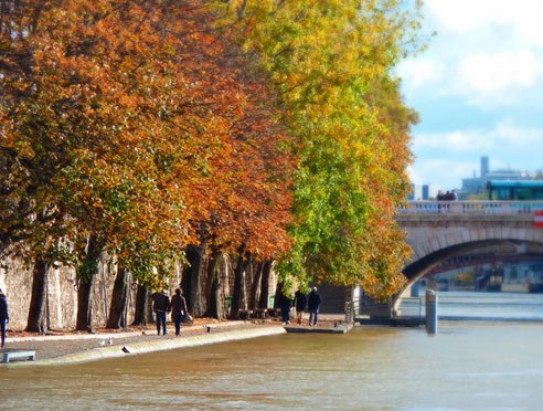 1. Paris (Pháp): Được mệnh danh là "kinh đô ánh sáng", Paris vào mùa thu mang một vẻ đẹp quyến rũ lạ thường. (Nguồn: Zing)