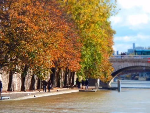 1. Paris (Pháp): Được mệnh danh là "kinh đô ánh sáng", Paris vào mùa thu mang một vẻ đẹp quyến rũ lạ thường. (Nguồn: Zing)