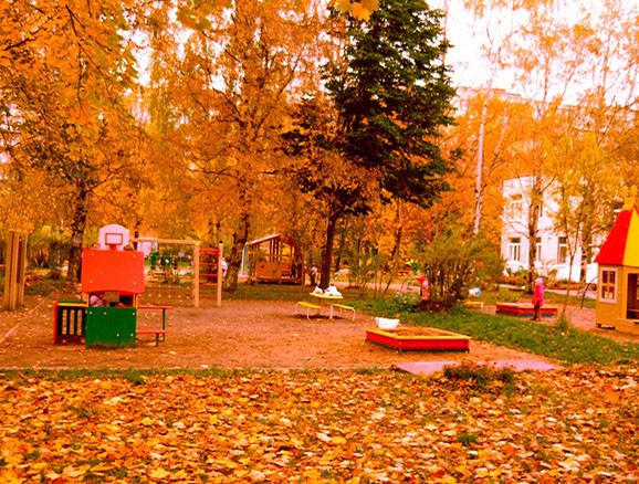 4. Saint Petersburg (Nga): Mỗi độ thu về, nước Nga như được khoác lên một chiếc áo choàng lãng mạn của những hàng lá phong, bạch dương vàng rực trên khắp mọi nẻo đường