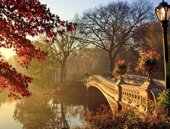 Đừng quên ghé thăm lâu đài Neuschwanstein để chiêm ngưỡng vẻ tráng lệ được bao phủ bởi những hàng cây chuyển sang sắc vàng và đỏ.