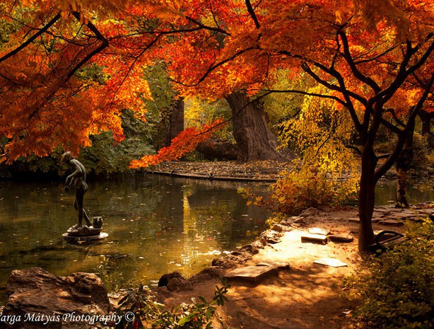 3. Budapest (Hungary): Được xem là một trong những thành phố đẹp nhất ở châu Âu, Budapest sẽ khiến bạn bị mê hoặc trước vẻ đẹp kiều diễm khi cả thành phố chìm trong ánh nắng thu vàng ruộm, nhuốm màu mật ong lên không gian cổ điển của kiến trúc Baroque, hay muôn ngàn ánh đèn hồng tía trong đêm