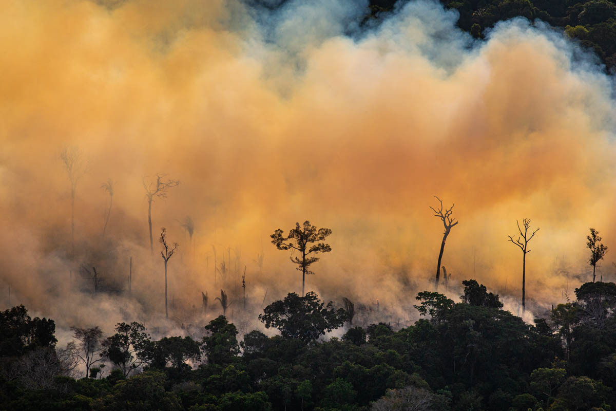 Các thành viên bộ lạc Karitiana và Uru-Eu-Wau-Wau cho biết, số vụ xâm nhập vào các vùng lãnh thổ bản địa trong rừng Amazon cũng gia tăng.