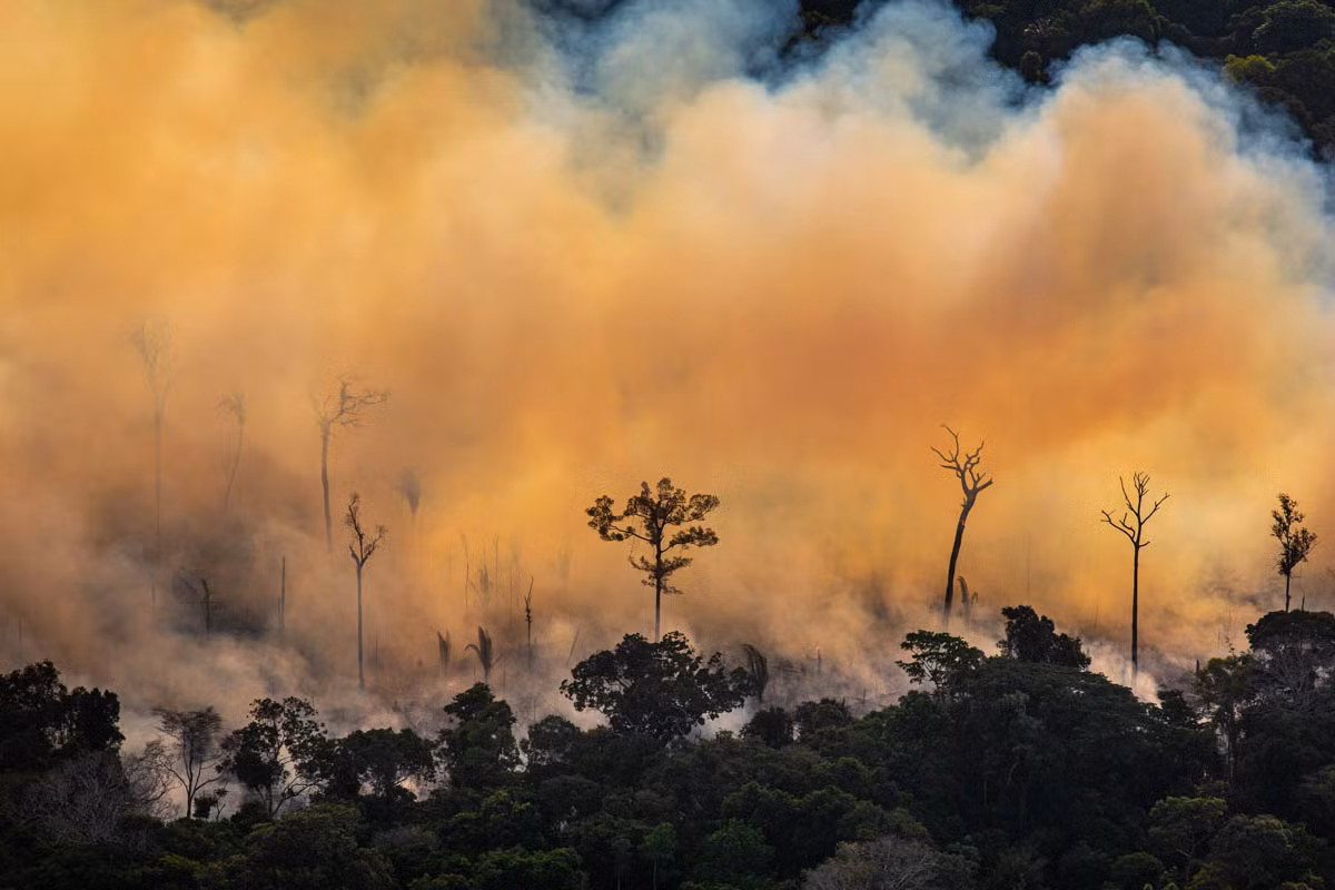 Các thành viên bộ lạc Karitiana và Uru-Eu-Wau-Wau cho biết, số vụ xâm nhập vào các vùng lãnh thổ bản địa trong rừng Amazon cũng gia tăng.