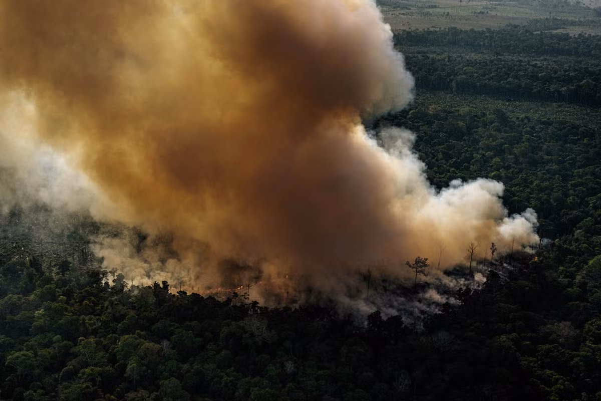 Theo Al Jazeera, Viện nghiên cứu Không gian Quốc gia (INPE) ước tính, số vụ cháy rừng ở Amazon năm nay đã tăng 84% so với năm 2018. (Nguồn ảnh: Al Jazeera)