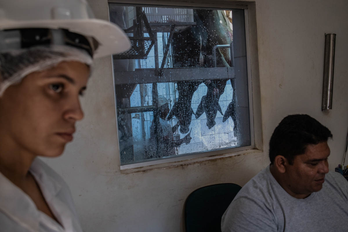 Không ít người tìm cách phá rừng để làm nơi chăn nuôi gia súc, bởi thịt bò đem lại nguồn thu nhập lớn cho họ. Trong ảnh là một quản lý và bác sĩ thú y tại lò mổ Frigo 10 ở Porto Velho.