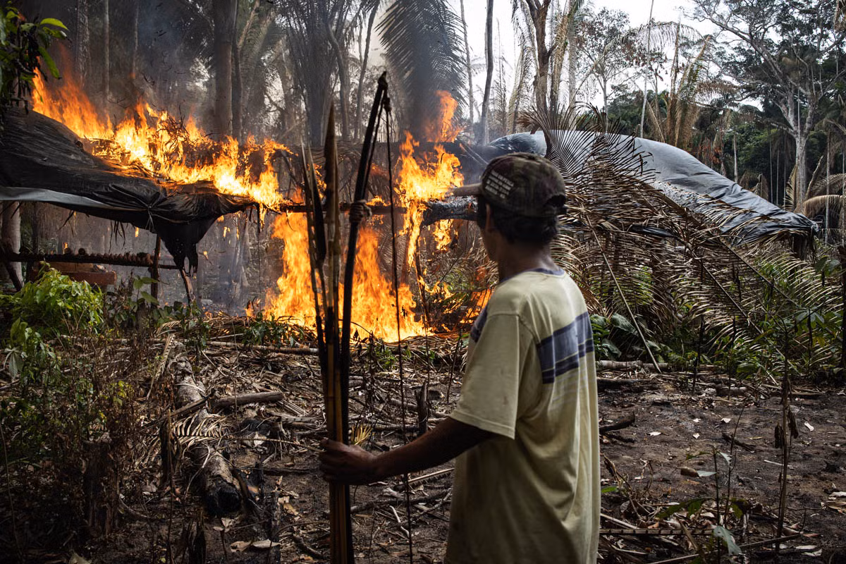 Ngày 26/9, ba người này quyết định đốt cháy lán trại của những kẻ chiếm đất phá rừng để chúng không thể quay lại.