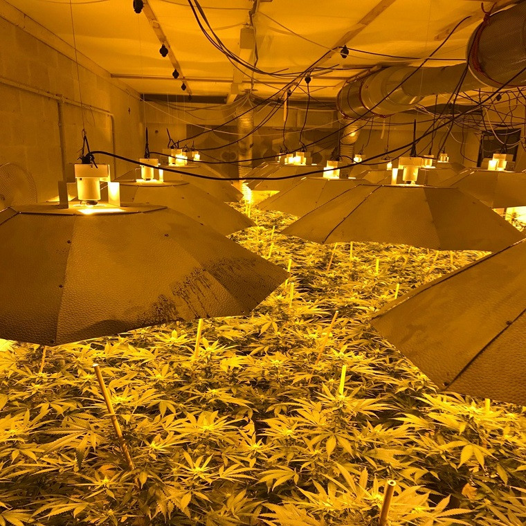 Khi cảnh sát Anh đột kích vào một ngôi nhà hai tầng ở Chesterfield rạng sáng 25/10/2013, họ thấy trang trại cần sa và thiếu niên Việt 16 tuổi đang nằm ngủ trên một tấm nệm. "Tôi đã rất sợ hãi, nhưng sau đó tôi tự nhủ có thể họ đến giải cứu mình", Minh kể lại. Ảnh: Guardian.