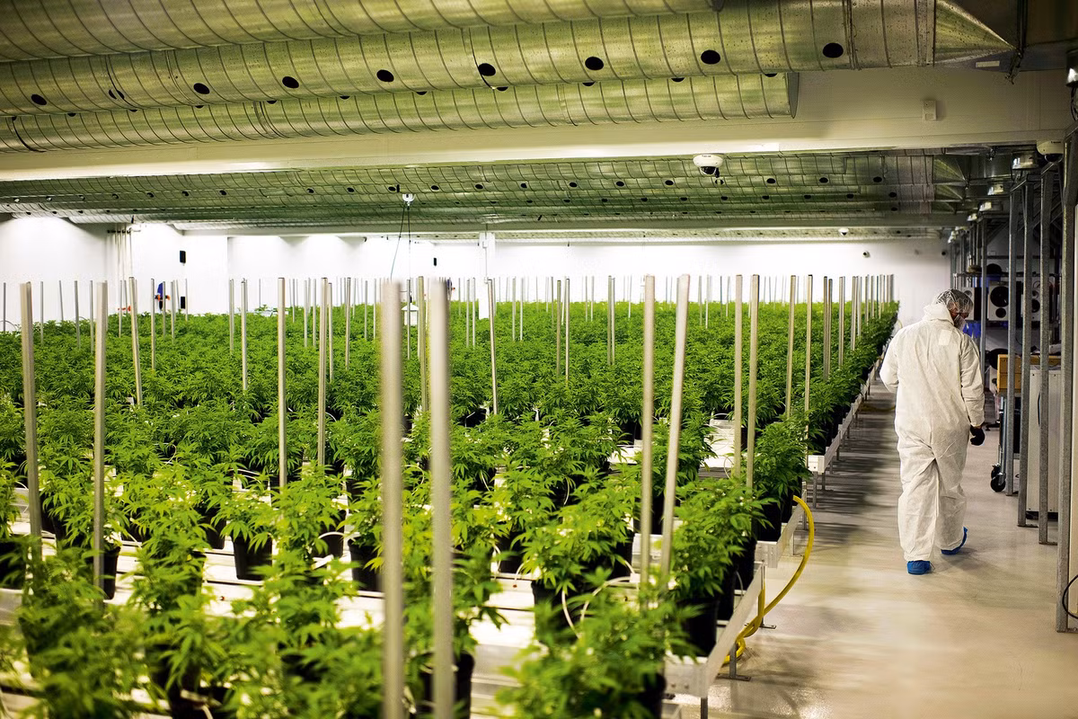 Vào ngày cảnh sát đột kích, Minh được giải thoát khỏi tay bọn buôn người, nhưng thử thách với cậu chưa kết thúc ở đó. Minh bị mắc kẹt trong hệ thống pháp lý (của Anh), trong đó cậu bị coi là tội phạm chứ không phải nạn nhân của bọn buôn người. Ảnh: BG.