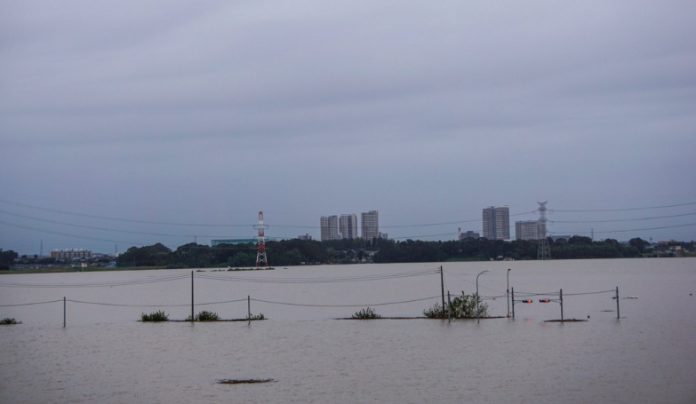 Tuy nhiên, có những ý kiến cho rằng không phải tại tất cả các vùng ngập lụt ở Nhật Bản nước lũ đều sạch như vậy. Cảnh tượng trên có thể chỉ xảy ra ở các vùng nông thôn. Ảnh: MS.