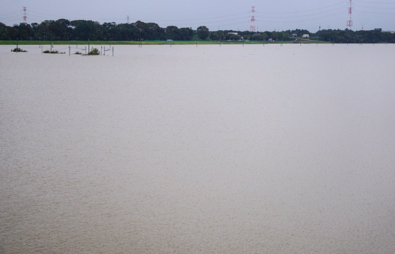 Cũng có tin nói, trước khi siêu bão Hagibis đổ bộ, chính phủ Nhật Bản đã yêu cầu người dân dọn sạch rác nơi họ sinh sống. Các nhân viên vệ sinh đã làm sạch đường ống, cống thoát nước để tránh tình trạng tắc nghẽn trong mưa bão. Ảnh: MS.