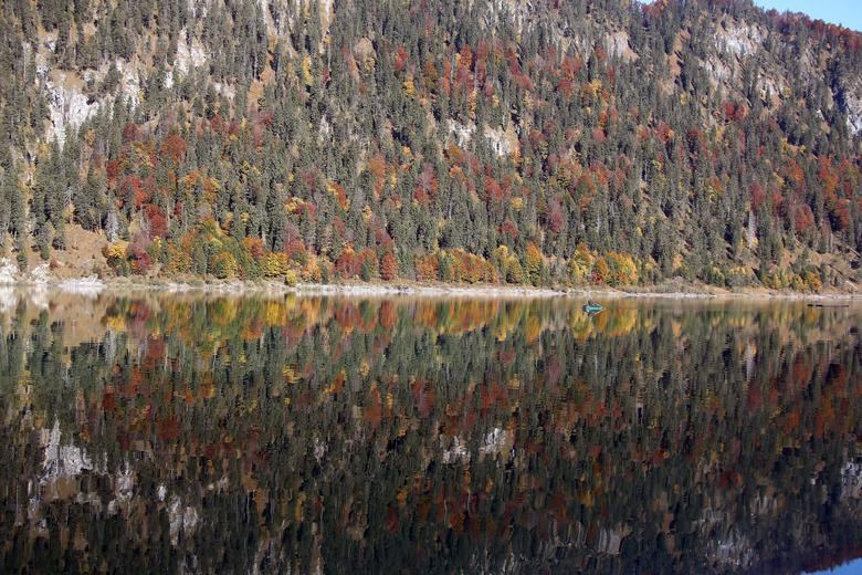 Hình ảnh rừng cây phản chiếu trên mặt nước hồ Sylvensten ở Đức ngày 15/10.