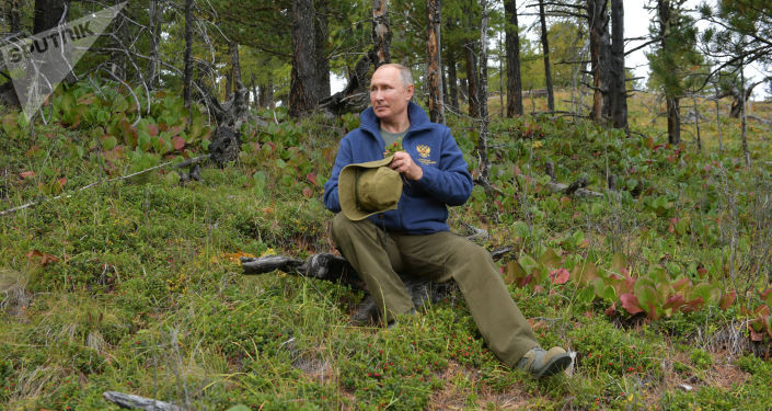 Vào ngày sinh nhật của mình, ông Putin thường nhận được nhiều món quà thú vị.