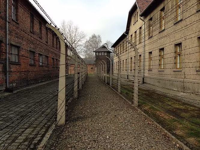 Auschwitz là trại tập trung dã man nhất trong lịch sử. Tuy nhiên, Alfred Wetzler là một trong những tù nhân từng trốn thoát thành công. Trốn kỹ trong 4 ngày dưới 1 chồng gỗ lớn, Wetzler bò dưới hàng rào và nhân lúc lính gác không để ý đã chạy trốn tới Slovakia cùng với các kế hoạch và thông tin chi tiết về trại tập trung. Những thông tin này đã dẫn quân đồng minh tới và cứu sống được 120.000 người Do Thái.