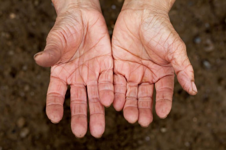 Bàn tay: Đặc biệt ở phụ nữ, bàn tay sẽ là một trong những bộ phận cơ thể đầu tiên mà bạn nhận thấy có dấu hiệu tuổi tác. Sự thay đổi nội tiết tố dẫn đến mất độ đàn hồi của da và giảm thể tích ở mu bàn tay. Những thay đổi này gây ra sự xuất hiện của các tĩnh mạch trở nên rất nổi bật. Bàn tay cũng hình thành các đốm đồi mồi do tiếp xúc với ánh nắng mặt trời, gây lão hóa.