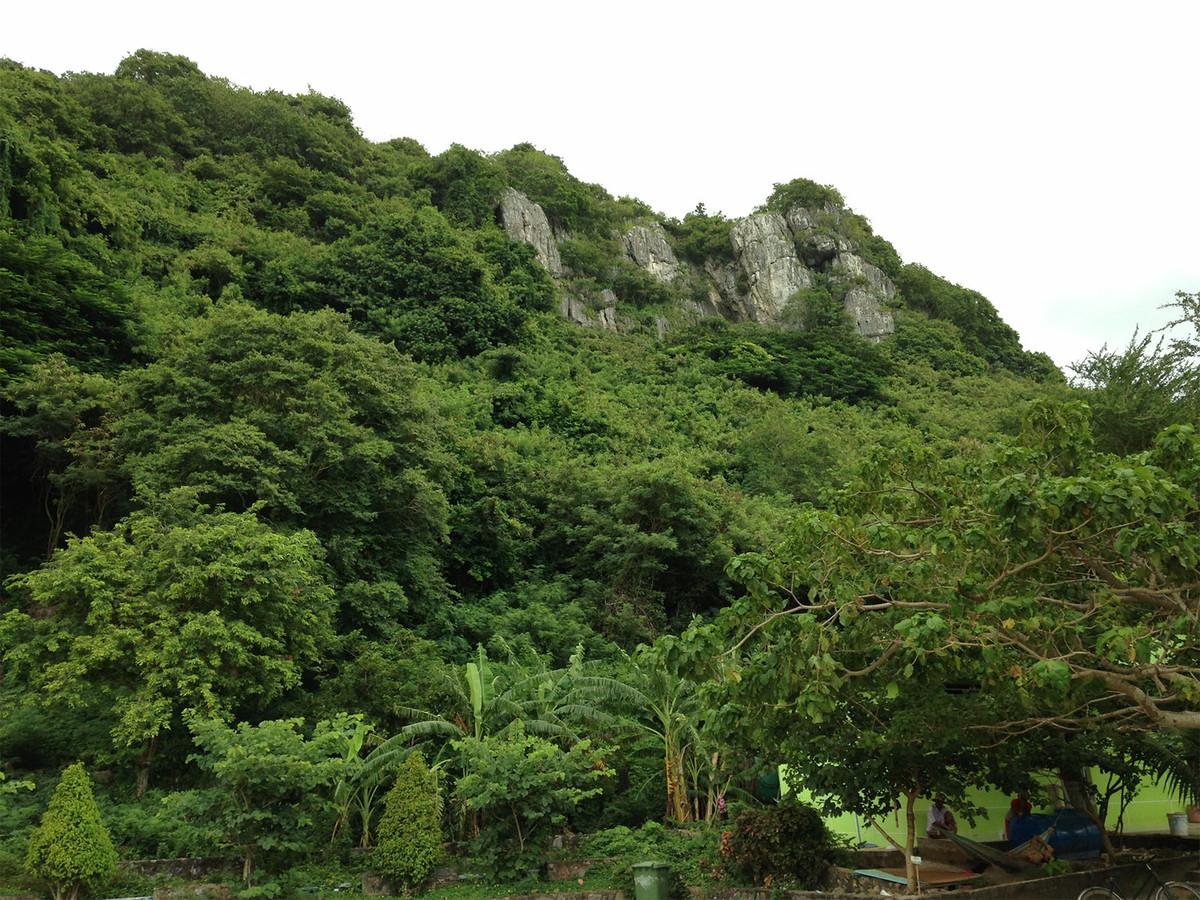 Nhận thấy việc truy bắt K’ Thánh không hề đơn giản, một số lượng lớn cán bộ chiến sĩ được huy động, chia làm nhiều mũi, phối hợp cùng Công an huyện Đạ Huoai, Công an huyện Di Linh và Công an TP .Bảo Lộc để truy bắt tên cướp nguy hiểm này. K’ Thánh được gọi là “người rừng” bởi đối tượng thông thạo mọi ngóc ngách của những cánh rừng. K’ Thánh cứ thoắt ẩn, thoắt hiện gây nhiều khó khăn cho cơ quan điều tra. Trên đường trốn chạy, đối tượng tiếp tục trộm một xe gắn máy của người dân làm vườn tại thôn 16, xã Lộc Thành để làm phương tiện. (Ảnh minh họa, nguồn Internet)