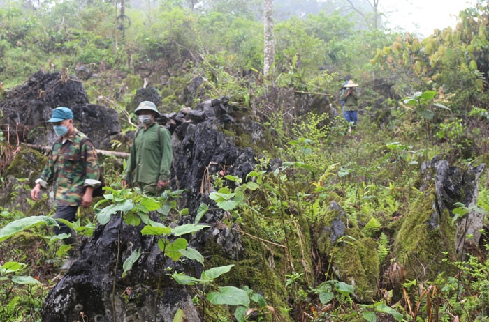 Cuộc truy lùng K’ Thánh và đồng bọn được triển khai liên tục, không ngừng nghỉ. Trong quá trình truy bắt, các trinh sát đã hai lần chạm mặt K’ Thánh trong vườn rẫy người dân. Tuy nhiên, cả hai lần đều trong tình thế không “thuận lợi”, nếu cương quyết bắt có thể đối tượng sẽ nổ súng chống trả quyết liệt, gây nguy hiểm tới những người dân làm rẫy xung quanh. Hơn nữa đối tượng cũng rất cảnh giác, thấy người lạ là nhanh chân lẻn vào rừng sâu. Sau 2 lần giáp mặt trinh sát, K’ Thánh cũng lờ mờ nhận ra mình đã bị lộ nên đối tượng ẩn mình kỹ hơn, không để lại dấu vết trên đường bỏ trốn. (Ảnh minh họa, nguồn Internet) 