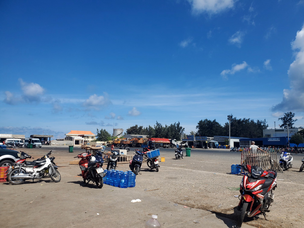 Bình Thuận: Tạm ngưng vận chuyển gia súc ra đảo Phú Quý Binh Thuan: Tam ngung van chuyen gia suc ra dao Phu Quy