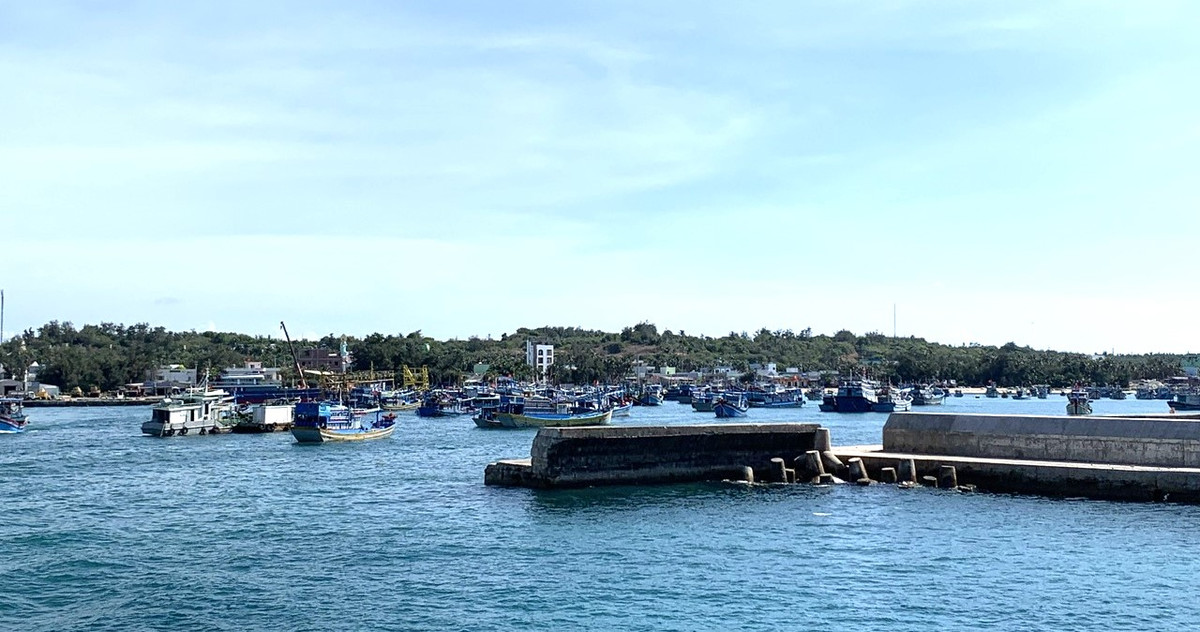 Bình Thuận: Tạm ngưng vận chuyển gia súc ra đảo Phú Quý - Hình 2 Binh Thuan: Tam ngung van chuyen gia suc ra dao Phu Quy-Hinh-2