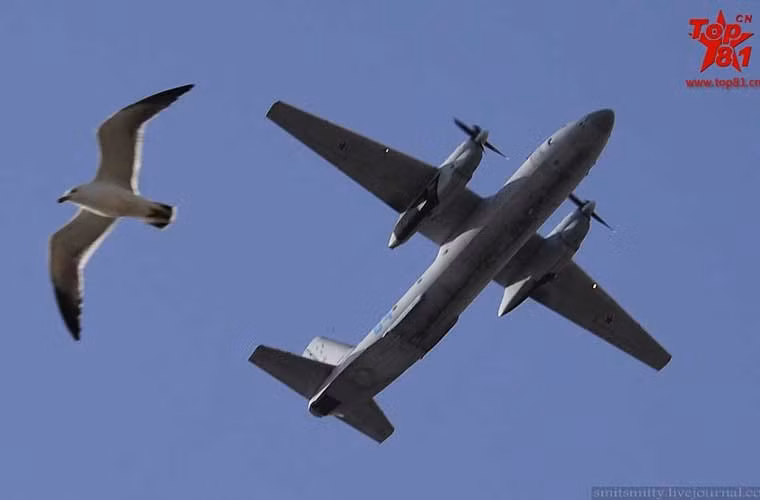 Không quân Hải quân thuộc hạm đội hiện tổ chức thành 4 trung đoàn và 2 phi đội độc lập trang bị các máy bay ném bom Tu-22M3, máy bay săn ngầm Tu-142MR/MZ, Il-38, tiêm kích đánh chặn MiG-31 và các trực thăng chống ngầm, máy bay vận tải loại nhỏ.