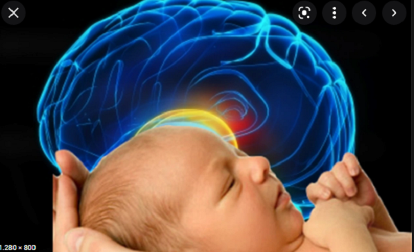 Ngoài ra một số nghiên cứu cũng cho thấy trẻ ăn nhiều muối ở thời gian này có thể dễ làm tổn thương não bộ.