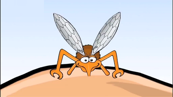 Ngoài đề cập thời điểm, vị trí xuất hiện nhiều muỗi, các nhà khoa học còn chỉ ra kiểu người thu hút muỗi. Cụ thể, muỗi không bị hấp dẫn bởi nhóm máu như đồn thổi. Những yếu tố thực sự thu hút muỗi gồm hơi thở, mồ hôi và nhiệt độ.