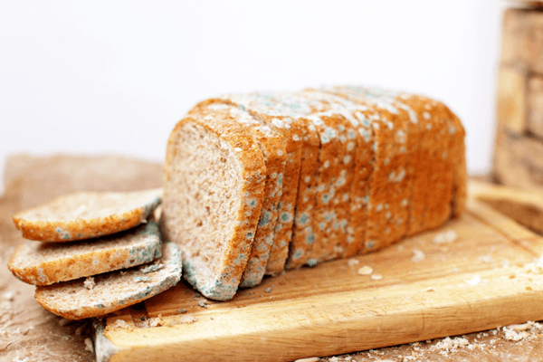 Thực phẩm mốc gây hại sức khỏe bởi chúng chứa chất gây ung thư số 1 aflatoxin. Ở đó, aflatoxin (AFT) là độc tố vòng difuran được tạo ra bởi một số chủng như Aspergillus flavus và Aspergillus parasiticus.