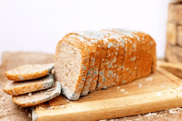 Thực phẩm mốc gây hại sức khỏe bởi chúng chứa chất gây ung thư số 1 aflatoxin. Ở đó, aflatoxin (AFT) là độc tố vòng difuran được tạo ra bởi một số chủng như Aspergillus flavus và Aspergillus parasiticus.