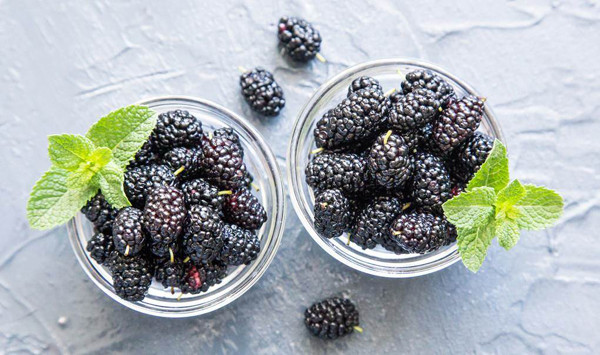 Ngoài nguy cơ chứa dư lượng thuốc trừ sâu, dâu tằm còn có thể chứa trứng côn trùng. Bề ngoài sần sùi khiến chúng ta khó loại bỏ hoàn toàn bụi, tạp chất trên dâu tằm nếu chỉ rửa qua bằng nước.