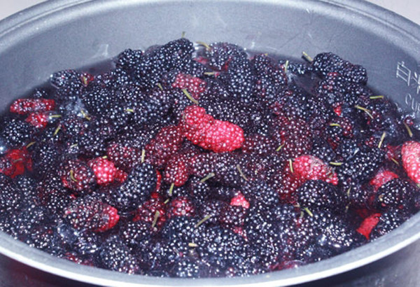 Cho chút muối và bột mì vào nước khuấy đều trong vòng 1 phút. Sở dĩ cách này giúp làm sạch dâu tằm hoàn toàn là bởi muối có tác dụng diệt khuẩn cao. Trong khi đó, bột mì có tính hấp thụ mạnh, giúp loại bỏ bụi bẩn bám trên vỏ quả.