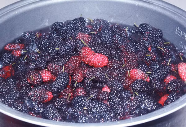 Cho chút muối và bột mì vào nước khuấy đều trong vòng 1 phút. Sở dĩ cách này giúp làm sạch dâu tằm hoàn toàn là bởi muối có tác dụng diệt khuẩn cao. Trong khi đó, bột mì có tính hấp thụ mạnh, giúp loại bỏ bụi bẩn bám trên vỏ quả.