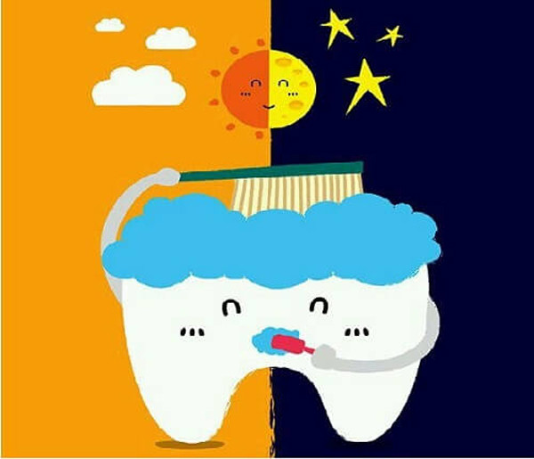 Đáng lưu ý, nước bọt tiết ra ở khoang miệng có khả năng diệt khuẩn. Bình thường, khả năng diệt khuẩn nước bọt tiết ra ban ngày mạnh hơn ban đêm 3-4 lần. Do vậy, bạn nên mua kem đánh răng làm sạch cao dùng vào ban ngày và kem đánh răng kháng khuẩn để dùng ban đêm.