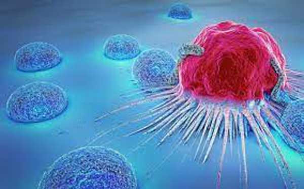 Thành phần Anthocyanins (sắc tố xanh đỏ trong mận) có thể giúp loại bỏ các gốc tự do có hại, ngăn ngừa ung thư và tổn thương tế bào.