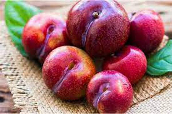 Độ axit của mận xanh khá cao nên những người có tiền sử bị loét dạ dày hoặc viêm dạ dày nên cẩn thận, tránh ăn nhiều mận xanh, ăn mận khi đói.