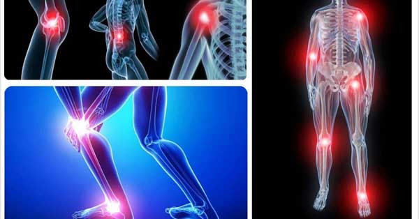 Mận tốt cho xương. Theo nghiên cứu được thực hiện bởi Oklahoma State và Florida State University Research, những người ăn mận khô, bổ sung vitamin D và canxi có thể cải thiện đáng kể mật độ xương ở cột sống và cẳng tay của họ so với nhóm ăn táo khô và bổ sung các loại thực phẩm chức năng.