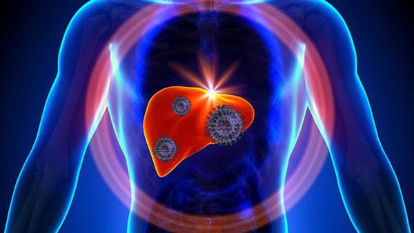 Nghiên cứu chỉ ra, hấp thụ lượng lớn chất hóa dẻo trong thời gian dài có thể gây tổn hại đến khả năng sinh sản của nam giới; gây nhầm lẫn giới tính ở trẻ em; nhiễm độc và tổn thương gen; ảnh hưởng hệ miễn dịch tiêu hóa, gây ung thư gan...