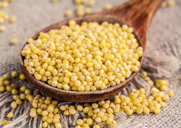 Hạt kê. Phân tích thành phần dinh dưỡng của hạt kê, các nhà khoa học ghi nhận 100g kê chứa tới 361kcal. Trong khi đó, trung bình 100g gạo trắng chứa khoảng 200 kcal. Như vậy, lượng calo trong kê cao gần gấp đôi so với gạo. Bên cạnh đó, kê được đánh giá là loại hạt bổ dưỡng, chứa lượng chất đạm, béo, vitamin và cacbohydrat đứng đầu trong các loại ngũ cốc.