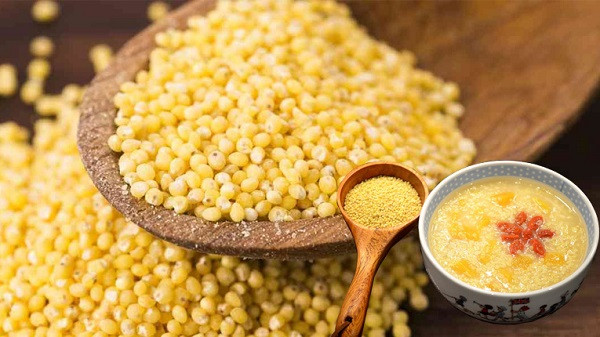 Đáng lưu ý, kê rất giàu chất xơ, có tác dụng thúc đẩy quá trình tiêu hóa, làm tăng cảm giác thèm ăn. Sử dụng kê lâu dài khiến bạn ăn ngon miệng, hấp thu chất dinh dưỡng tốt hơn. Kết quả là nó khó có thể giúp bạn giảm cân, thậm chí có thể gây tăng cân.