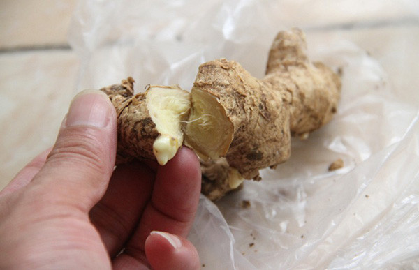 Trái lại, ban đêm âm khí mạnh dần, tiêu thụ quá nhiều đồ ăn có tính ấm ảnh hưởng không tốt đến giấc ngủ, quá trình đồng hóa của cơ thể. Bằng cách này, ăn gừng ban đêm được ví không khác gì “ngược đãi” cơ thể.