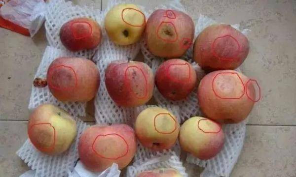 Hai vo chong cung mac ung thu gan vi thu ngoai cho ban day