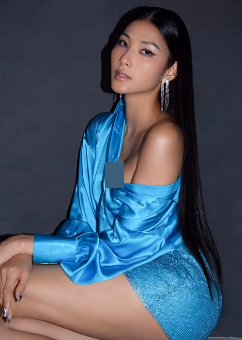 Đến năm 2020, thấy mọi người đồn đoán nhiều quá, Hoàng Thùy quyết định thông báo kế hoạch dừng thi để các fan chuẩn bị sẵn tâm lý.