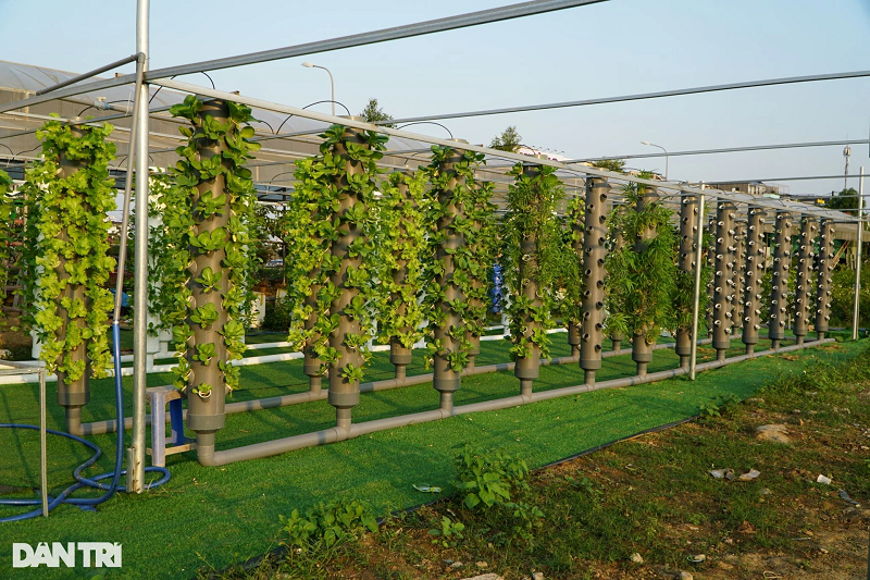 Cũng theo anh Hiếu, hiện anh tập trung vào việc nhận lắp đặt hệ thống trồng rau khí canh cho người dân quanh địa bàn thành phố Thanh Hóa. Chi phí lắp đặt 1,5-1,8 triệu đồng/trụ nhựa. Chàng trai trẻ cho biết, với diện tích ở sân thượng, hiên nhà, người dân có thể lắp đặt khoảng 3-4 trụ rau là có thể đáp ứng được nhu cầu sử dụng rau sinh hoạt hàng ngày.