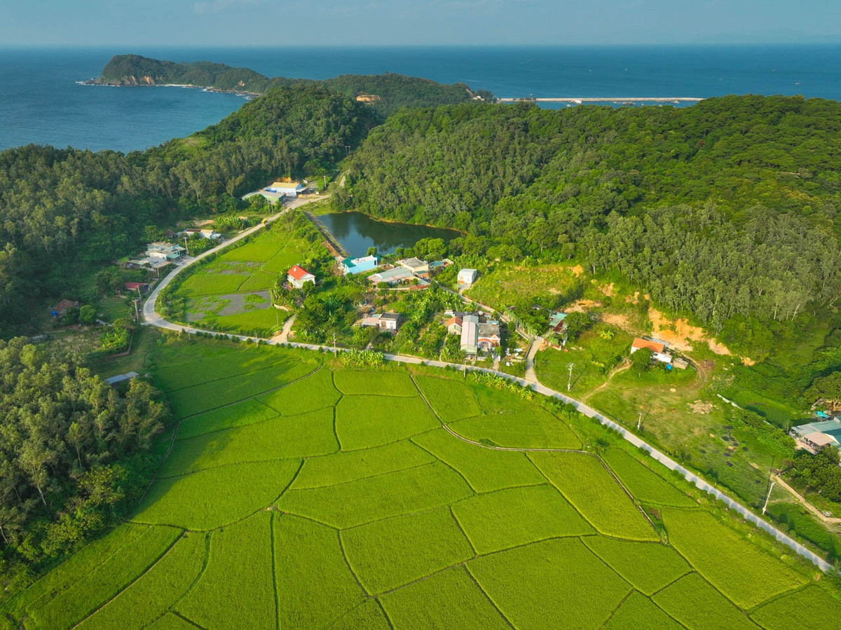 Quần đảo Cô Tô có hơn 50 đảo lớn nhỏ, với kết cấu địa chất đặc biệt. Huyện đảo chia làm hai quần đảo lớn có sự cư trú tập trung là Cô Tô Lớn và Thanh Lân. Cô Tô Nhỏ thì nằm ở phía Đông Bắc so với Cô Tô Lớn và phía Tây Bắc so với Thanh Lân, hợp thành một hệ đảo tam giác. Những hòn đảo đẹp khác gồm đảo Cá Chép, đảo Đông Nam, Đảo Sư Tử, đảo Hòn ngang, đảo Bảy Sao, đảo Vàng Cháu…