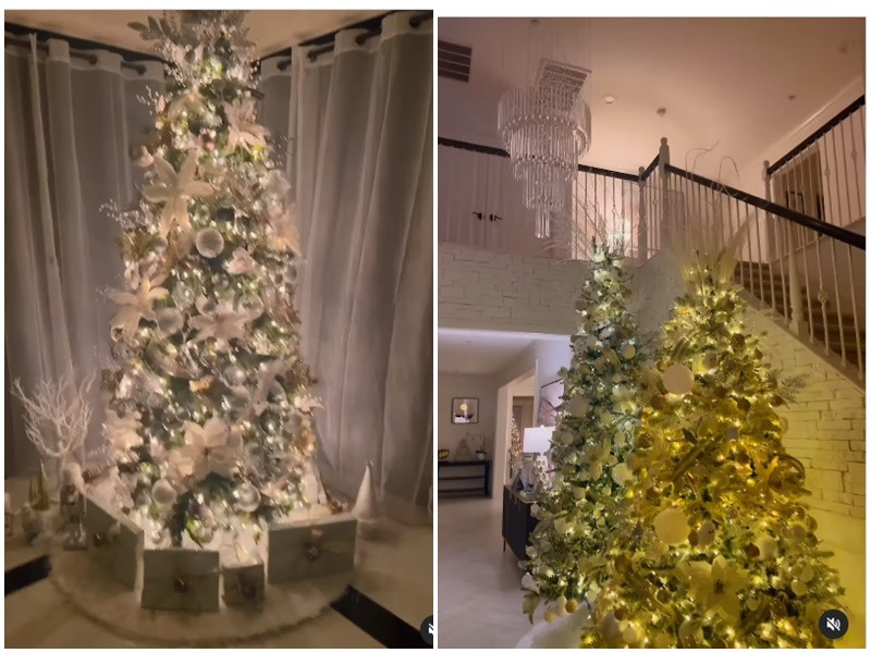 Nàng hậu gốc Hải Phòng đặt rất nhiều cây thông trong nhà. Ảnh: Instagram.