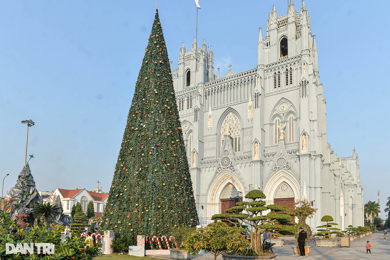 Điểm nổi bật tại Vương cung Thánh đường Phú Nhai Lễ Noel năm nay là hai cây thông Noel cao gần 30m ở ngay phía trước nhà thờ.